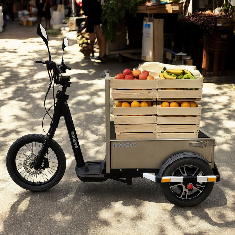 Patinete Eléctrico Carga Descarga Transporte Mercaderías Mercabarna